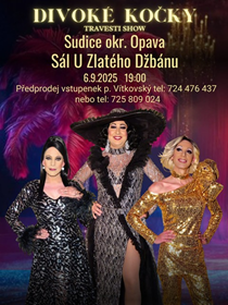 Divoké Kočky - Travesti show v Sudicích