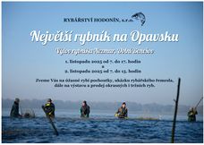 Výlov rybníka Nezmar