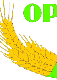Pozvánka na valnou hromadu společnosti Opavice a.s.