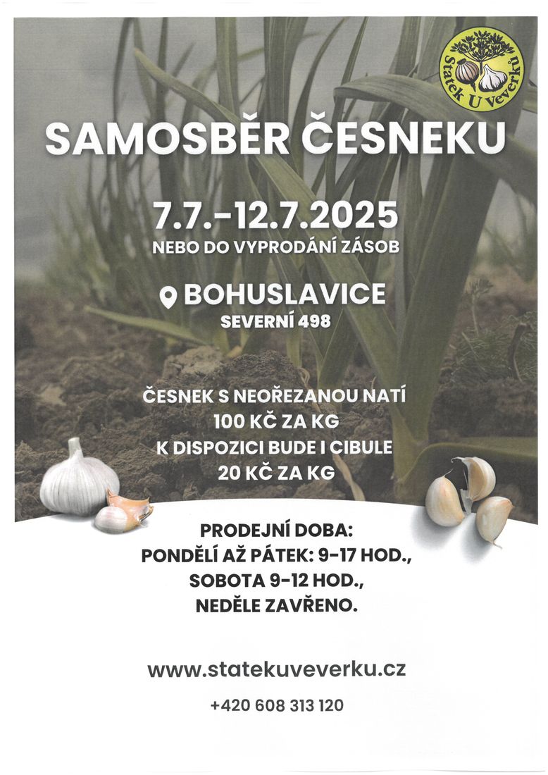 Samosběr česneku Samosběr česneku