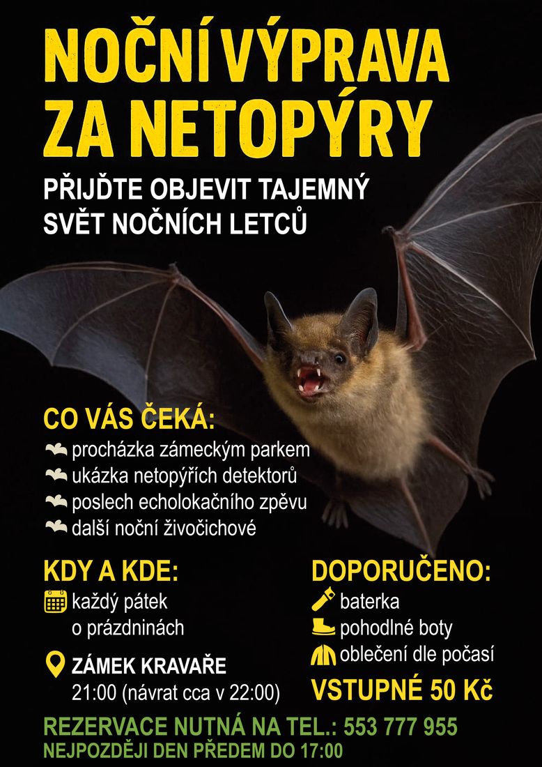 Výprava za netopýry Výprava za netopýry