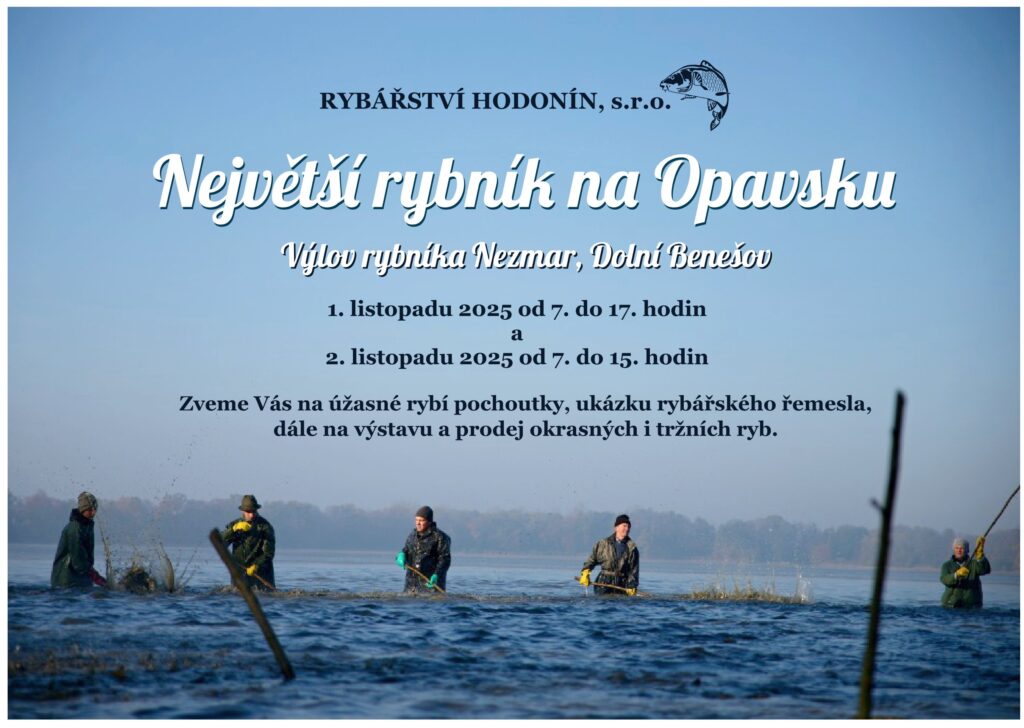 Výlov rybníka Nezmar 1.-2.11.2025