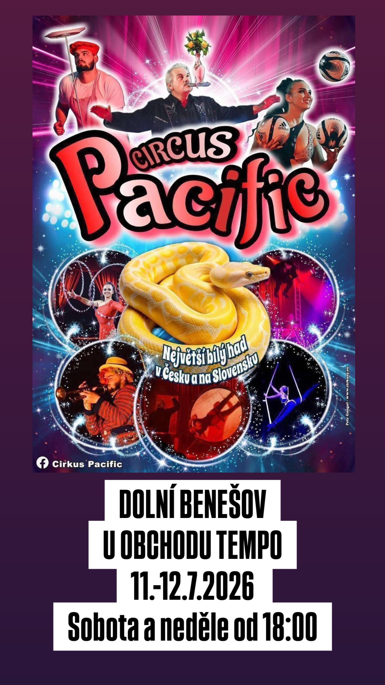 cirkus pacific